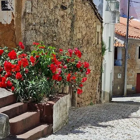 Casa Da Avo Ana - Peroviseu - Serra Da Gardunha - Serra Da Estrela Σπίτι διακοπών *
