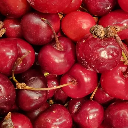 Casa Da Avo Ana - Peroviseu - Serra Da Gardunha - Serra Da Estrela Σπίτι διακοπών