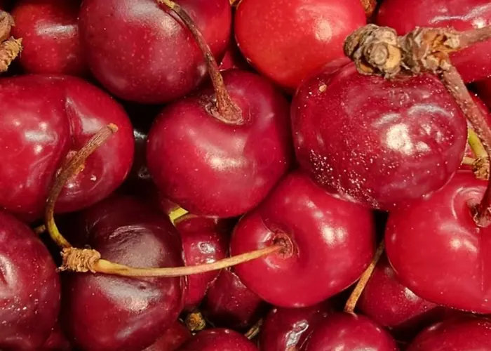 Casa Da Avo Ana - Peroviseu - Serra Da Gardunha - Serra Da Estrela Nyaraló
